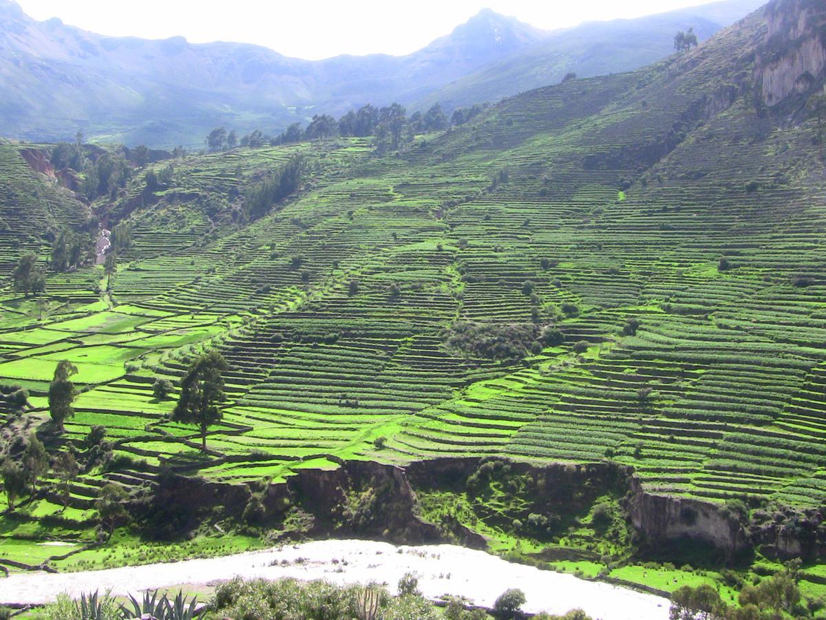 Hotel Misky Punuy - Valle Del Sondondo Andamarca 外观 照片