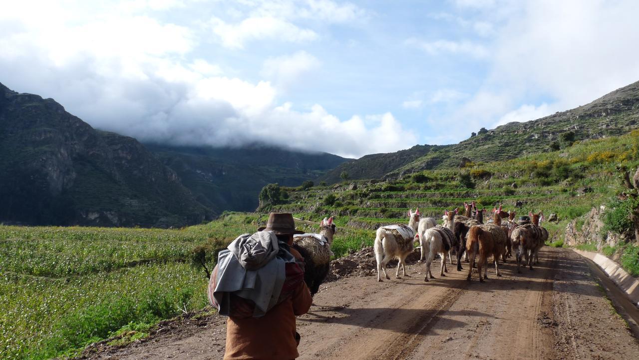 Hotel Misky Punuy - Valle Del Sondondo Andamarca 外观 照片