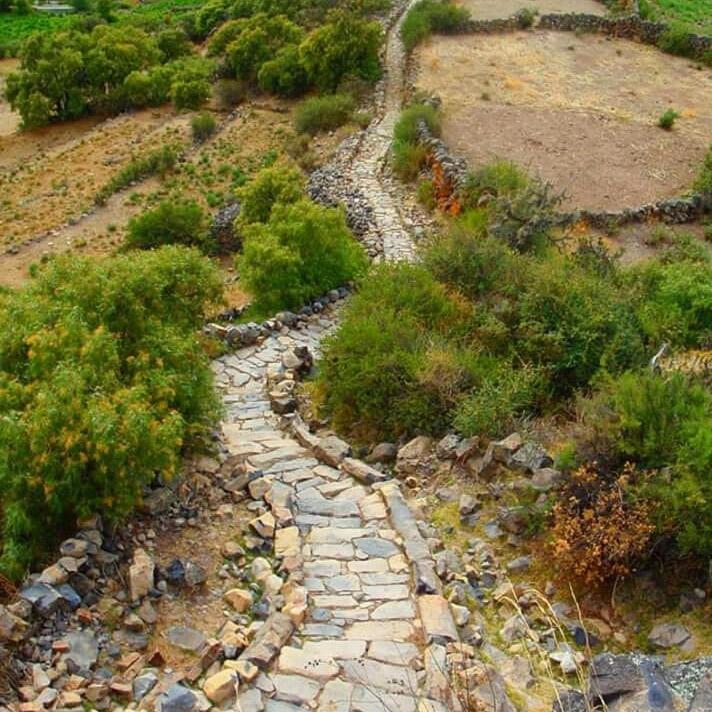 Hotel Misky Punuy - Valle Del Sondondo Andamarca 外观 照片