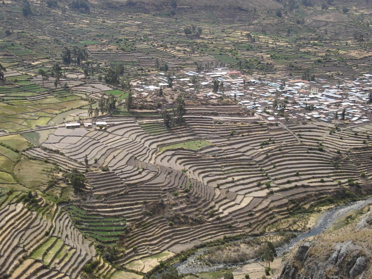 Hotel Misky Punuy - Valle Del Sondondo Andamarca 外观 照片